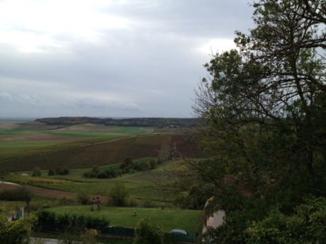 View from the courtyard of the tasting room at Yves Jacope.