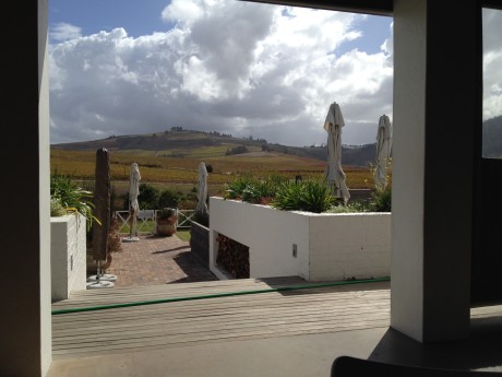My lunchtime view over the vineyards from the veranda at Mulderbosch