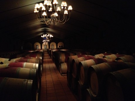 Serene and beautiful, "The Cathedral" red wine barrel room at Waterford